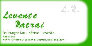 levente matrai business card